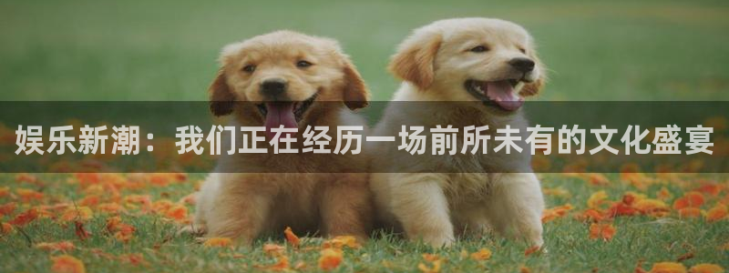 辉达平台注册入口与教程：娱乐新潮：我们正在经历一场前所未有的文化盛宴
