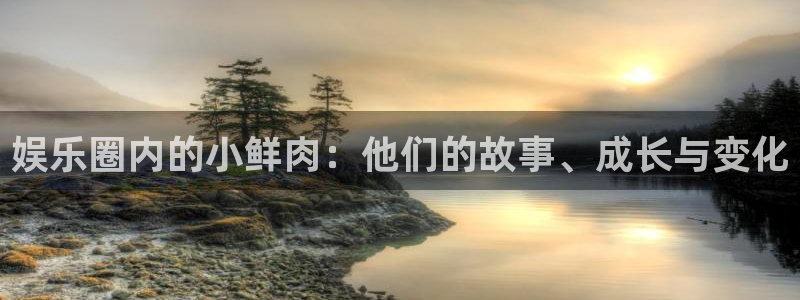辉达平台平台官方入口：娱乐圈内的小鲜肉：他们的故事、成长与变化