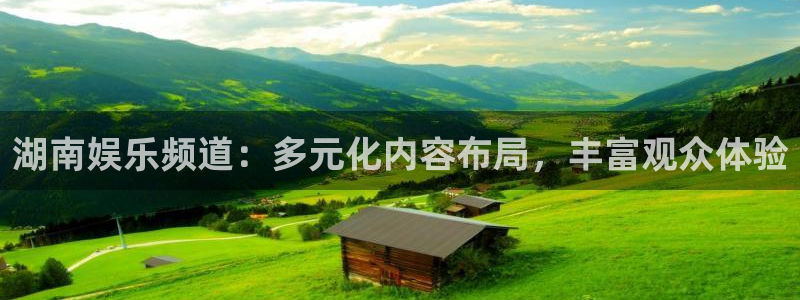 辉达平台平台总代理：湖南娱乐频道：多元化内容布局，丰富观众体验