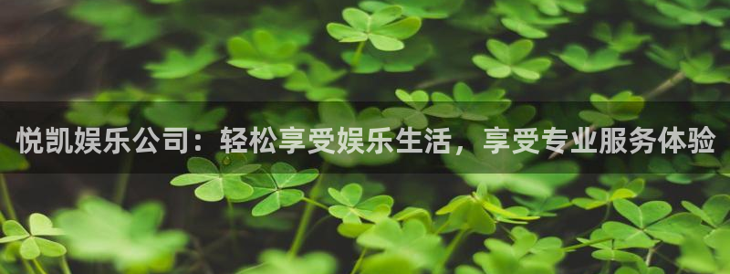 辉达平台app哪个模式容易赢：悦凯娱乐公司：轻松享受娱乐生活，享受专业服务体验