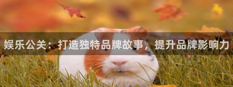 辉达平台官网注册：娱乐公关：打造独特品牌故事，提升品牌影响力