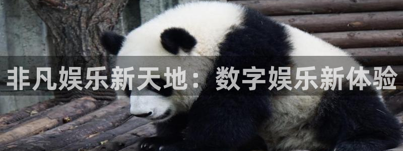 辉达平台平台在线注册：非凡娱乐新天地：数字娱乐新体验