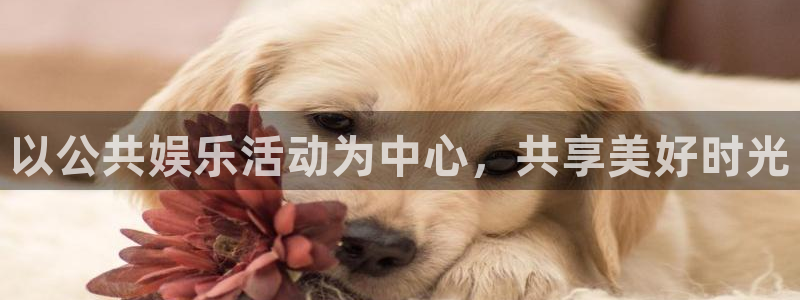 辉达平台quan28.cc：以公共娱乐活动为中心，共享美好时光
