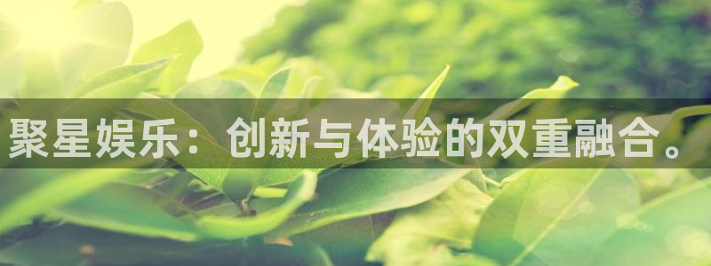 辉达平台游戏官网平台入口：聚星娱乐：创新与体验的双重融合。