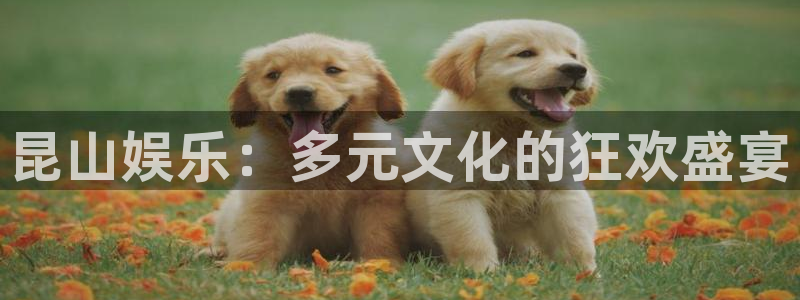 辉达平台平台官网入口下载：昆山娱乐：多元文化的狂欢盛宴