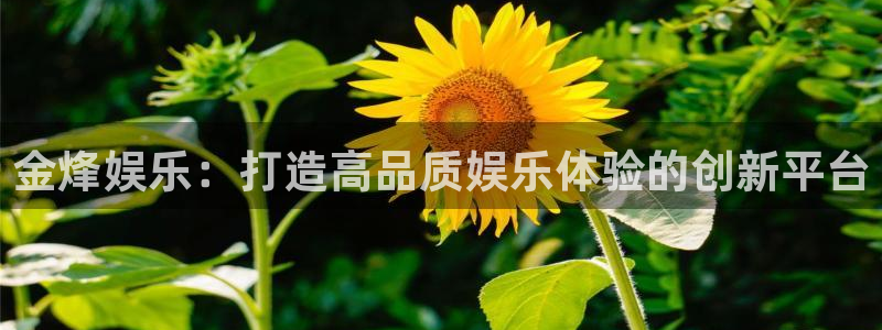 辉达平台ccmpc：金烽娱乐：打造高品质娱乐体验的创新平台