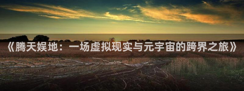 辉达平台5：《腾天娱地：一场虚拟现实与元宇宙的跨界之旅》
