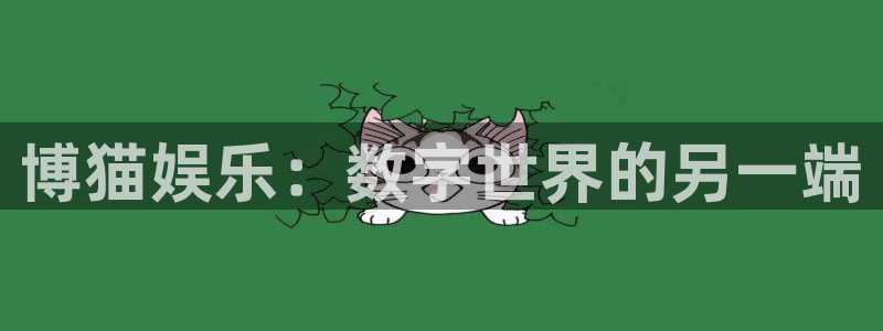 辉达平台是大平台吗：博猫娱乐：数字世界的另一端