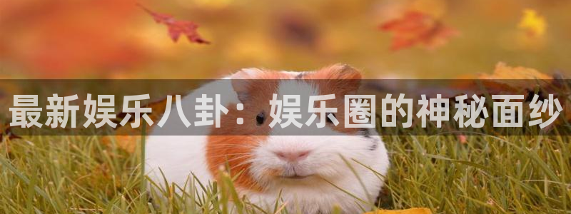 辉达平台体育f开户