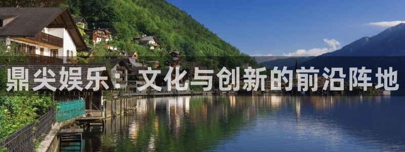 辉达平台3平台注册：鼎尖娱乐：文化与创新的前沿阵地