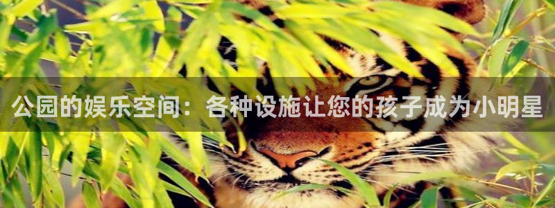 辉达平台3登录：公园的娱乐空间：各种设施让您的孩子成为小明星