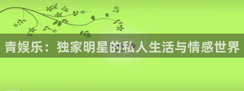 辉达平台电子有限公司：青娱乐：独家明星的私人生活与情感世界