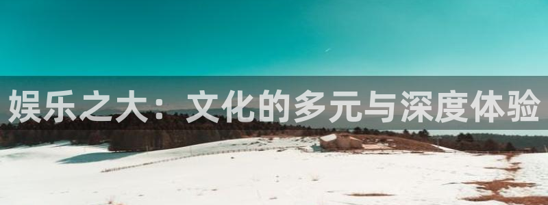 辉达平台平台：娱乐之大：文化的多元与深度体验