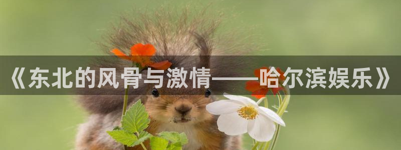 辉达平台是真的吗：《东北的风骨与激情——哈尔滨娱乐》