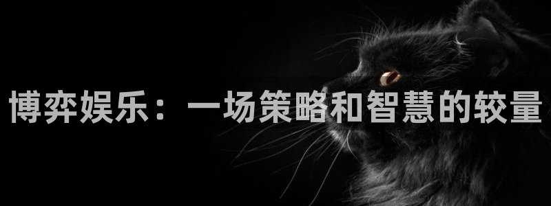 辉达平台是啥：博弈娱乐：一场策略和智慧的较量