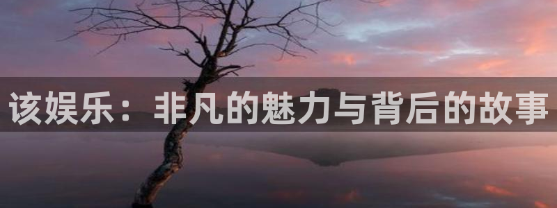 辉达平台平台官网入口：该娱乐：非凡的魅力与背后的故事