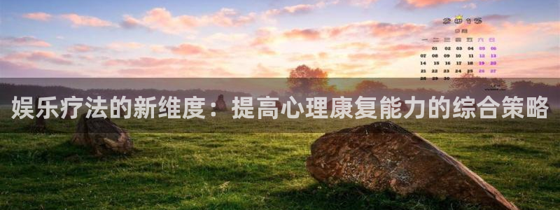 辉达平台体育网页版入口：娱乐疗法的新维度：提高心理康复能力的综合策略