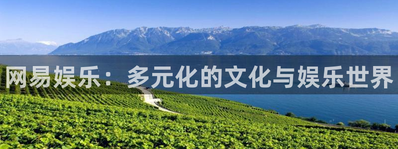 辉达平台登录界面入口：网易娱乐：多元化的文化与娱乐世界