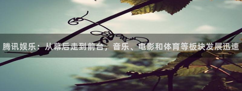 辉达平台3平台注册：腾讯娱乐：从幕后走到前台，音乐、电影和体育等板块发展迅速