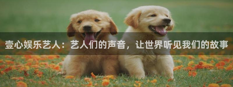辉达平台体育凯捷代理注册：壹心娱乐艺人：艺人们的声音，让世界听见我们的故事