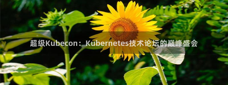 辉达平台集团股票：超级Kubecon：Kubernetes技术论坛的巅峰盛会