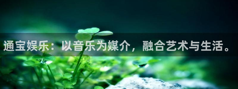 辉达平台下载链接是多少：通宝娱乐：以音乐为媒介，融合艺术与生活。