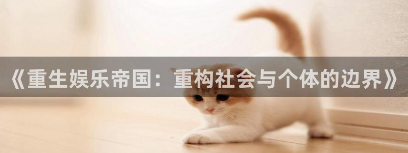辉达平台：《重生娱乐帝国：重构社会与个体的边界》