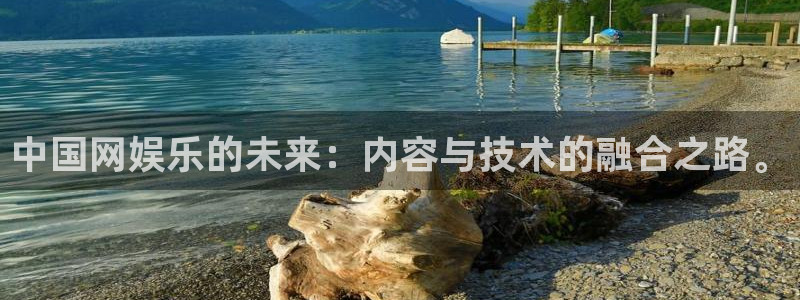 辉达平台麻将胡了：中国网娱乐的未来：内容与技术的融合之路。