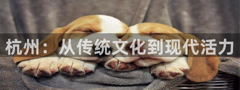 辉达平台体育官网入口登录：杭州：从传统文化到现代活力