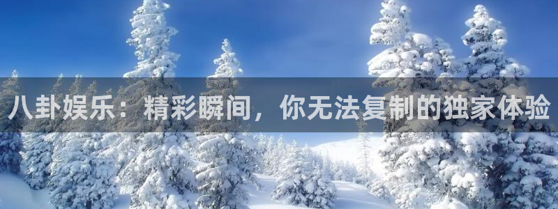 辉达平台官网下载：八卦娱乐：精彩瞬间，你无法复制的独家体验