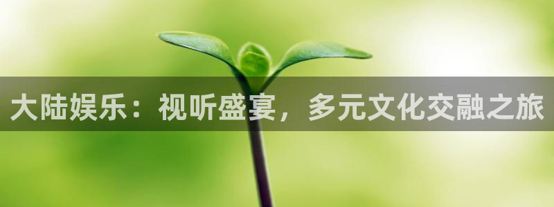 辉达平台代理：大陆娱乐：视听盛宴，多元文化交融之旅