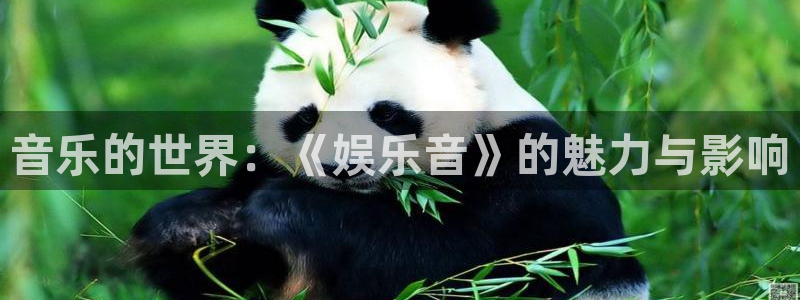 辉达平台.ccm苹果版：音乐的世界：《娱乐音》的魅力与影响