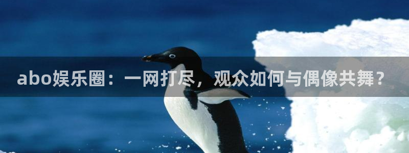 辉达平台赏金女王：abo娱乐圈：一网打尽，观众如何与偶像共舞？