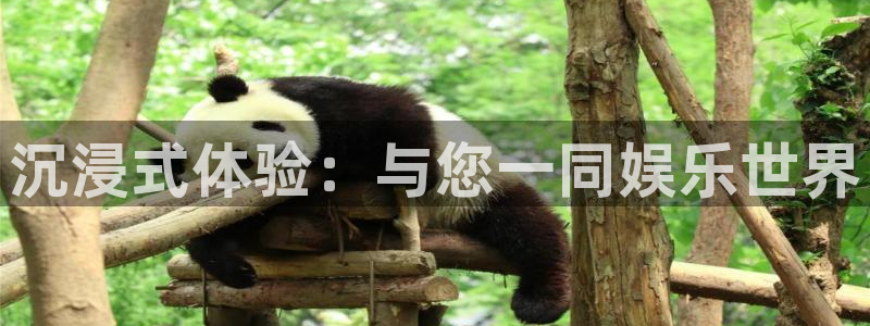 辉达平台平台总代理：沉浸式体验：与您一同娱乐世界