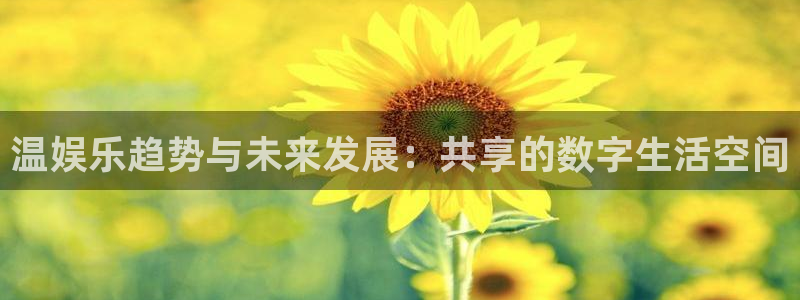 辉达平台主管：温娱乐趋势与未来发展：共享的数字生活空间