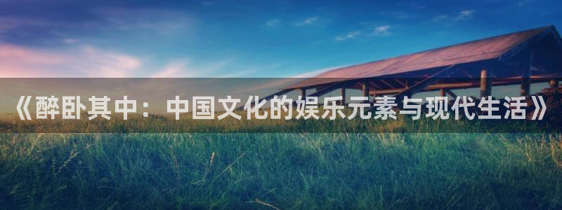 辉达平台注册：《醉卧其中：中国文化的娱乐元素与现代生活》